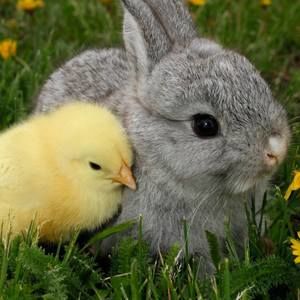 Meet your Posher, Elaine